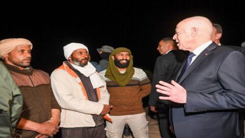 قيس سعيد يعلن عن مشروع قانون يتعلق بالأراضي الجماعية