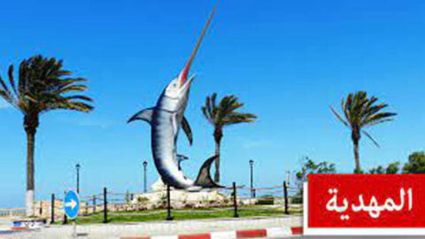 Mahdia.. Les équipes de surveillance économique relèvent 155 violations