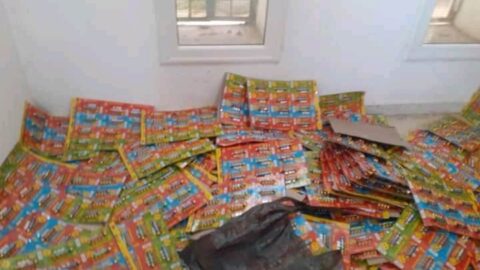 Il a été prouvé qu’ils ne respectaient pas les spécifications légales : 43 701 jouets et 832 paires de chaussures ont été détruits.