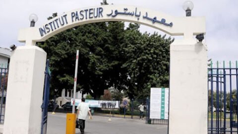 Du 15 au 18 avril, l’Institut Pasteur de Tunisie organise l’Académie de Médecine de Précision dans sa deuxième édition