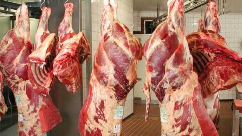 Pour assurer l’équilibre du marché de la viande rouge, le Conseil de la concurrence appelle à la déclaration des infractions