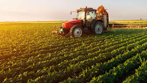 Kahia, Directeur de l’Administration Générale de la Production Agricole : Les indicateurs de la campagne agricole sont moyens