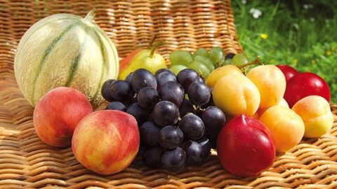 La production de semences d’été atteint 245 mille tonnes pour la saison 2024… et l’Etat de Kairouan occupe la première place au niveau national.