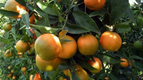 Les exportations du secteur gazier augmentent de 15,4%