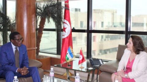 Vers le renforcement de la coopération tuniso-lisotienne dans le domaine de l’électricité