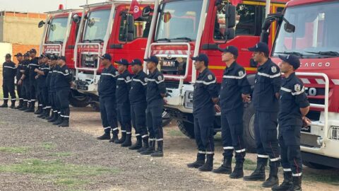 Une opération blanche conjointe pour faire face aux incendies de forêts. La Tunisie et l’Algérie renforcent leur coopération dans le domaine de la protection civile.