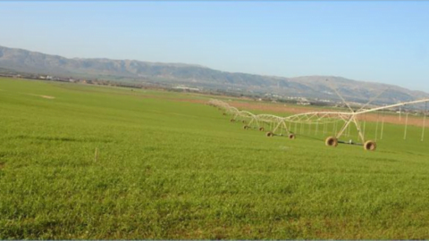 Défriche 100 hectares..Le Ministère des Domaines récupère une propriété internationale à Tozeur