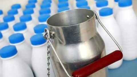 Président adjoint de l’Union tunisienne de l’agriculture et de la pêche : Le stock stratégique de lait en conserve ne dépasse pas 20 millions de litres, et la mise en place d’une politique fourragère suffit à sortir le système du cycle de confusion.