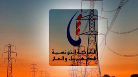 Secrétaire d’État auprès du ministre de l’Économie : L’État n’a pas l’intention de privatiser le réseau électrique ou de transférer le « Cerf »