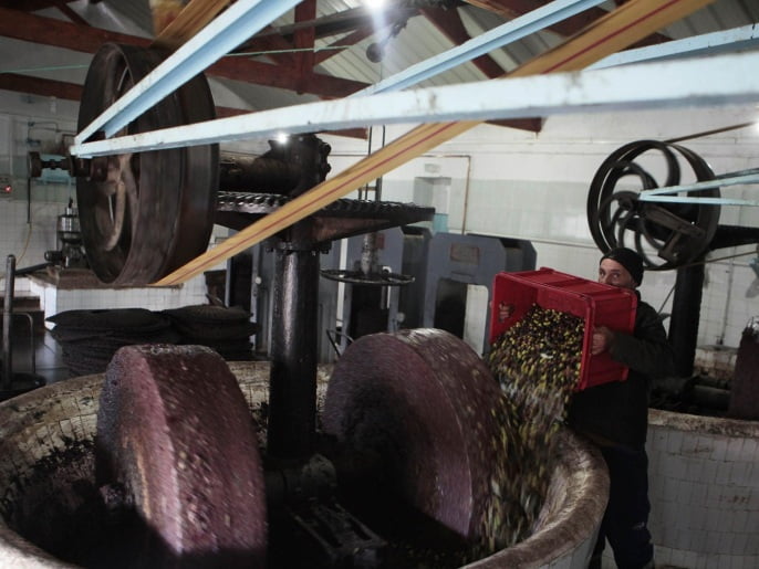 Un travailleur attend que les olives soient écrasées dans une usine traditionnelle de transformation d'huile d'olive à Tebourba, à 30 km (17 miles) de Tunis le 5 janvier 2013. REUTERS/Zoubeir Souissi (TUNISIE - Tags: SOCIÉTÉ AGRICOLE ALIMENTAIRE)