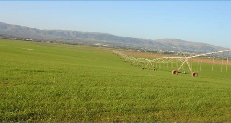Défriche 100 hectares..Le Ministère des Domaines récupère une propriété internationale à Tozeur