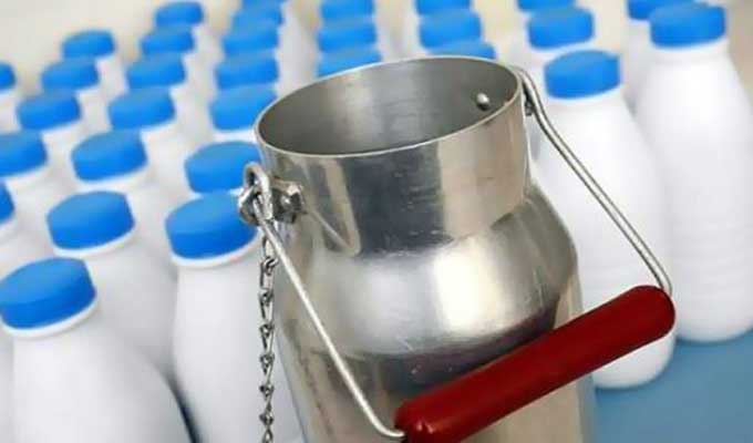 Président adjoint de l'Union tunisienne de l'agriculture et de la pêche : Le stock stratégique de lait en conserve ne dépasse pas 20 millions de litres, et la mise en place d'une politique fourragère suffit à sortir le système du cycle de confusion.