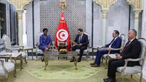 Le secrétaire d’Etat aux Affaires étrangères reçoit les lettres de créance de l’ambassadeur de Namibie en Tunisie