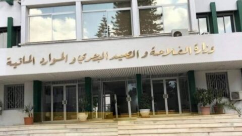 Le Ministère de l’Agriculture modifie la liste des structures et organismes ayant droit à l’adhésion au Comité Communautaire Portuaire