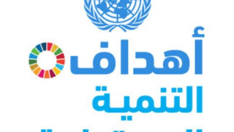 Participation de la Tunisie au Forum politique de haut niveau sur les objectifs de développement durable à New York