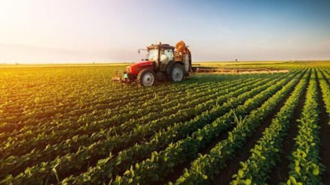 Au premier semestre 2024… les investissements agricoles privés autorisés s’élèvent à 639,2 MD pour 3.640 opérations.