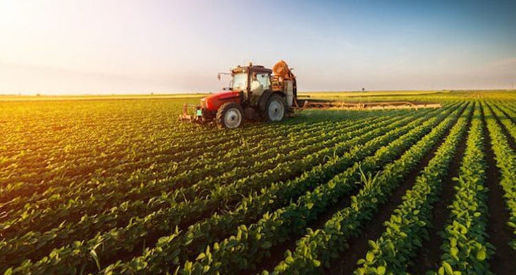Au premier semestre 2024... les investissements agricoles privés autorisés s'élèvent à 639,2 MD pour 3.640 opérations.