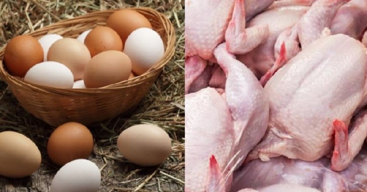 Au cours du mois de juin...la tendance à la baisse accompagne les prix de la production de poulets vivants et des œufs destinés à la consommation