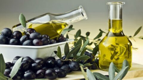 Fin juin 2024. Les revenus des exportations de produits biologiques ont augmenté de 14,4%