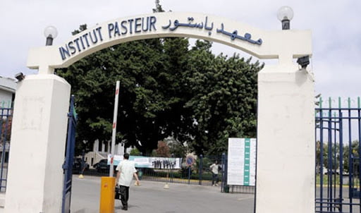 L'Institut Pasteur réussit à extraire des molécules synthétiques du venin de serpent comme nouvelle alternative pour traiter les crises cardiaques