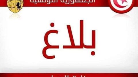 Campagnes malveillantes et publication d’informations qui nuisent à la réputation des « institutions étatiques », précise le ministère de la Justice.