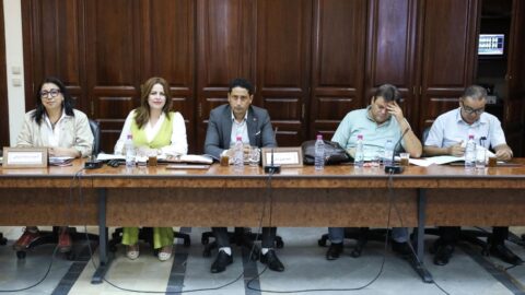 La Commission de législation générale approuve une initiative législative visant à modifier la loi électorale et référendaire