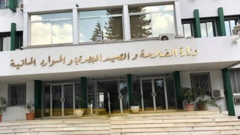 15 octobre : Suspension de l’activité de chasse sauvage dans les Etats de l’Ariana et de Bizerte