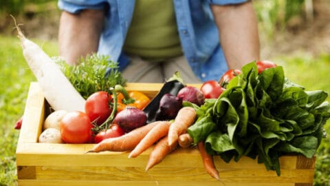 Les exportations de produits agricoles biologiques génèrent des revenus d’une valeur de 1,196 millions de dinars