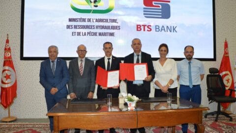 Pour financer la campagne de dattes en cours…une augmentation des crédits alloués par la Banque de Solidarité au profit des petits agriculteurs à 12 millions de dinars