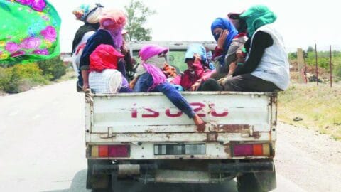 Un décret présidentiel renforce les droits des ouvrières paysannes avec des privilèges et avantages complets au sein du système de protection sociale