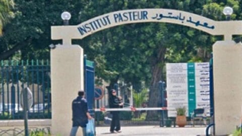 L’Institut Pasteur signe un protocole d’accord avec le Réseau mondial Pasteur pour améliorer la technologie de production de vaccins