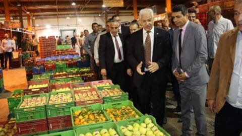Lancement d’une campagne régionale conjointe pour surveiller les itinéraires de distribution des légumes et des céréales