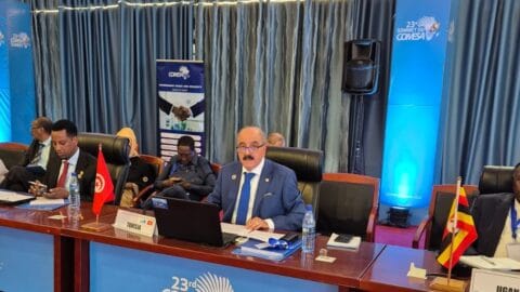 Le ministre des Affaires étrangères appelle le groupe COMESA à joindre sa voix au groupe international afin de soutenir la cause palestinienne