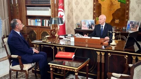 Le Président de la République donne ses instructions pour prendre des mesures immédiates pour assurer la récolte des oliviers de manière à préserver les droits des agriculteurs