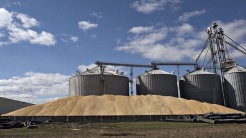 La Tunisie lance un appel d’offres pour l’achat de 200 000 tonnes de blé tendre et dur