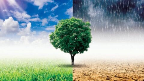 84 pour cent des Tunisiens ont affecté leur vie quotidienne à cause du changement climatique