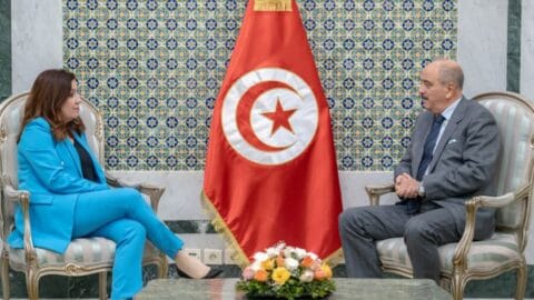 A l’occasion du 65ème anniversaire de l’établissement des relations diplomatiques tuniso-cubaines… vers l’organisation d’une manifestation culturelle en décembre