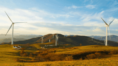 4 et 5 décembre.. La Tunisie accueille le Forum international sur les normes environnementales, sociales et de gouvernance