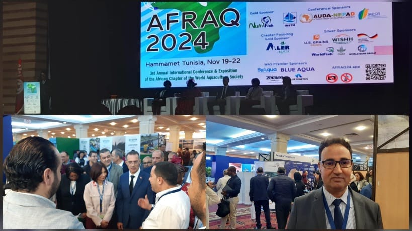 Ministre de l'Agriculture : L'aquaculture fait partie des secteurs prometteurs pour soutenir le système de sécurité alimentaire 