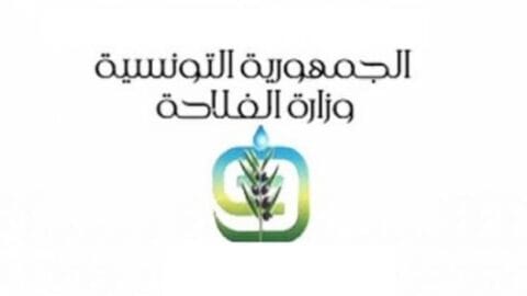 Depuis le 1er janvier, la voie est ouverte aux exportateurs privés pour exporter de l’huile d’olive tunisienne en vrac