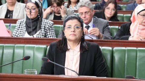 Loi de Finances 2025. Une proposition de nouveau chapitre autorisant la Banque Centrale à accorder des facilités financières au Trésor public