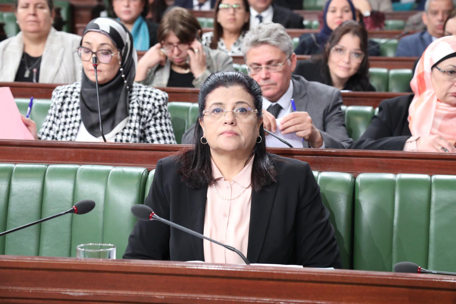 Loi de Finances 2025. Une proposition de nouveau chapitre autorisant la Banque Centrale à accorder des facilités financières au Trésor public